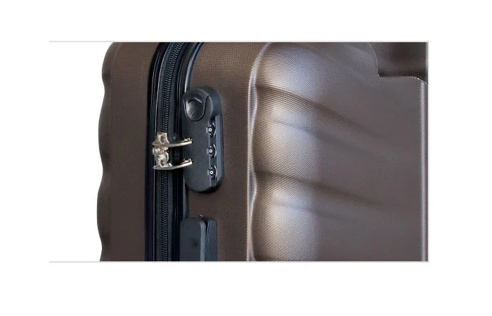 Expanded Texture Abs Luggage